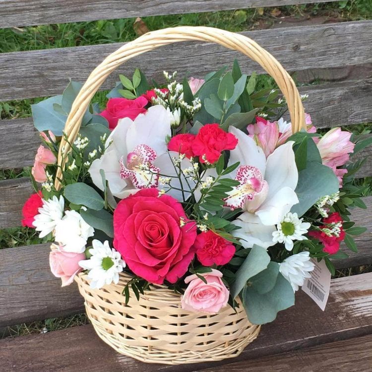 Великолепие от 8 310 руб.